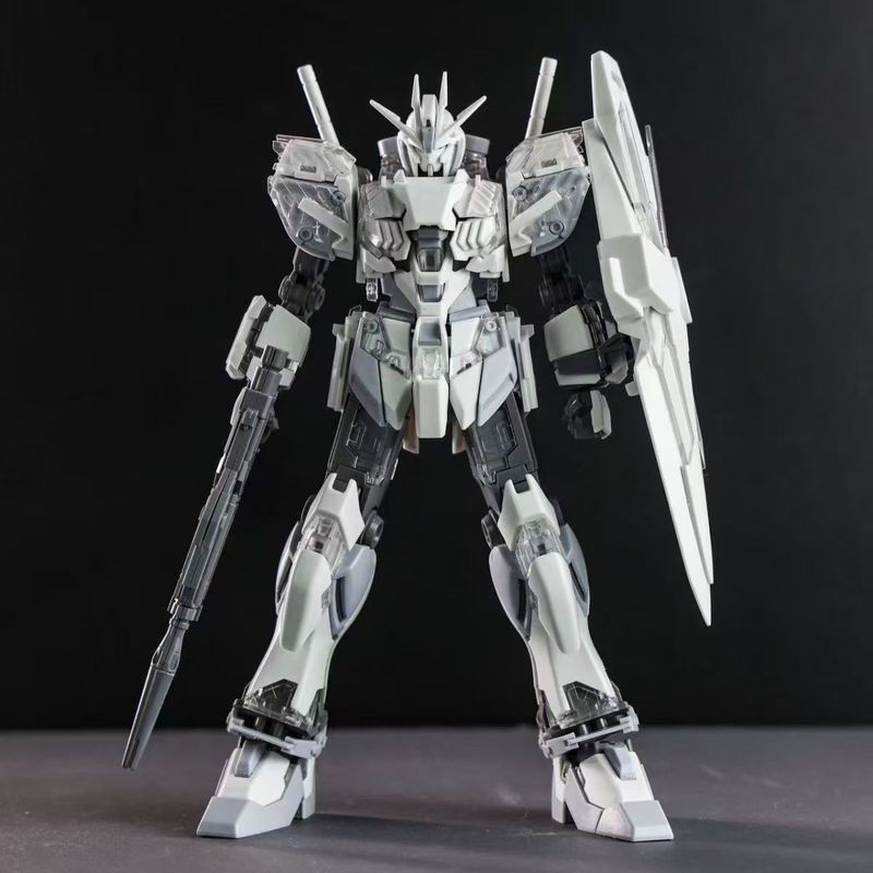 HG1/144 Narrative C Coating Ac - đánh giá và giá Model Kit Water Decal